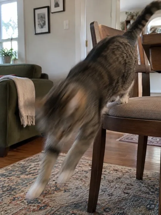 On the move