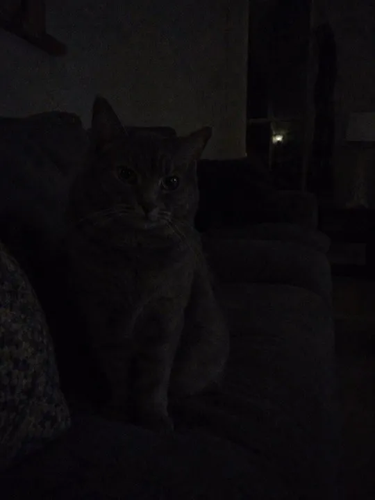 Too dark
